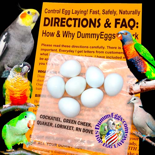 7 Plastic dummy eggs for Cockatiels, Green Cheek Conures, Quaker Parrots, Lorikeets, and Ringneck Doves are shown against an orange paper that says Directions and FAQ, black background, DummyEggs.com logo&rsquo;