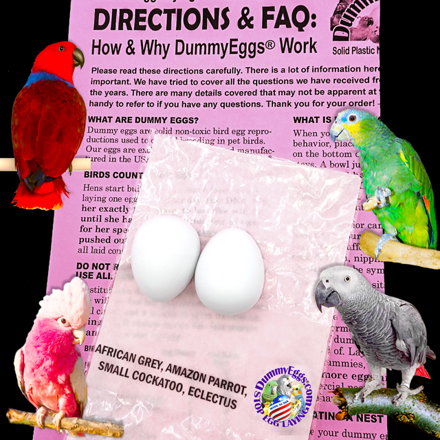 2 Plastic dummy eggs for African Grey, Eclectus, Amazon and other medium parrots plus images of these birds, printed directions, and DummyEggs logo.