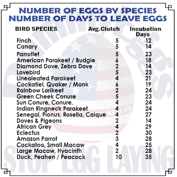 A chart titled Number of Days to laying Eggs by Species lists bird species, their average clutch size, and incubation days. species include finch, canary, parrotlet, and others, with varying clutch sizes and incubation periods.